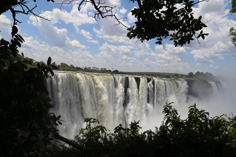 Excursão de um dia às Cataratas Vitória, de ambos os lados, a partir de Kasane Zim e ZâmbiaExcursão de um dia às Cataratas Vitória a partir de Kasane Zim e Zâmbia