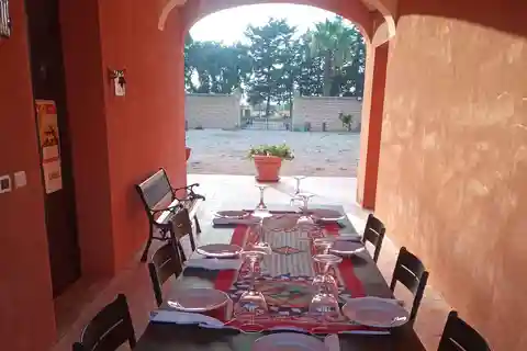 Raccolta dell'uva e colazione in cantina a Menfi