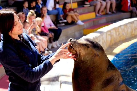 Benidorm: Mundomar Animal Park Entrance Ticket Benidorm: Mundomar Animal Park Afternoon Ticket