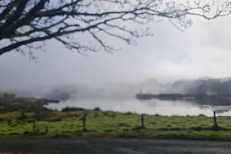 Excursión por la naturaleza de Auckland