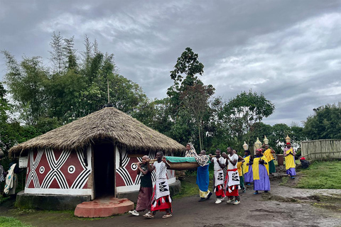 1 jour de suivi des gorilles au Rwanda dans le parc national des Volcans