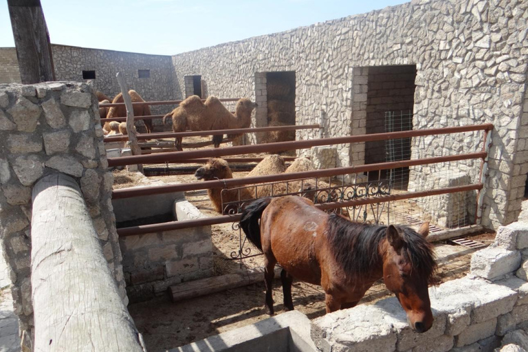 Private Full Day Absheron Castles and Balakhani Art Tour