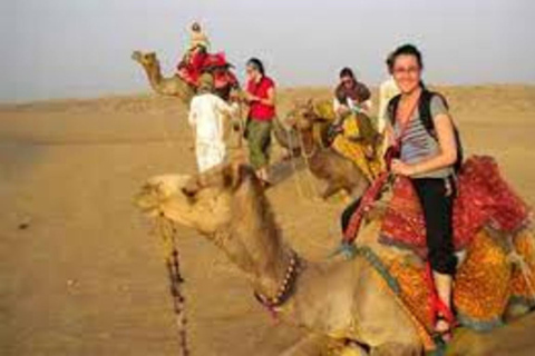 Vanuit Jodhpur: Osian Desert Camp met kameel- of jeepsafari