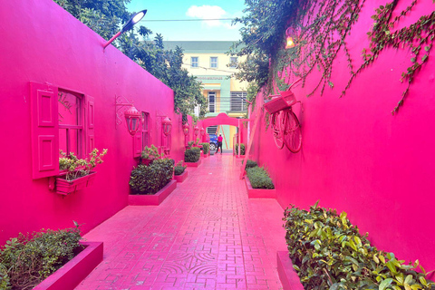 Puerto Plata: Adrenaline in Damajagua and the Essence of Dominican Life