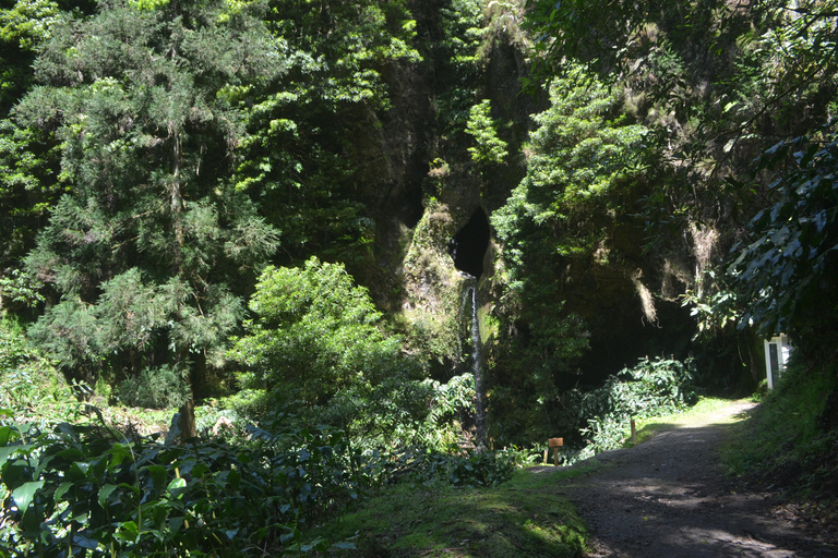 Sao Miguel Hike to Janela do Inferno and Lagoa do Fogo