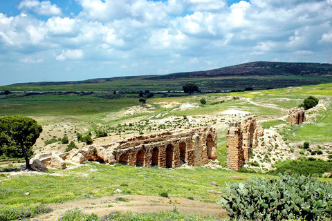 From Tunis: Zaghouan, Dar Zaghouan & Zriba Olia Day Trip