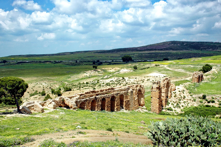 From Tunis: Zaghouan, Dar Zaghouan & Zriba Olia Day Trip