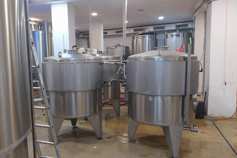 Varna: Winery Tour with Tasting & Aladzha Rock Monastery