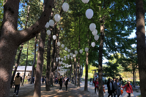 Séoul : Visite de l&#039;île de Nami/jardin du matin calme (+vélo sur rail)Visite de groupe, rendez-vous à Myeongdong