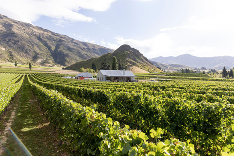 Excursión de degustación de vinos en helicóptero por Queenstown