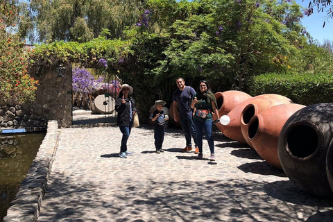 Arequipa: Sightseeing Tour of the Molino de Sabandía and the Andenes de Paucarpata
