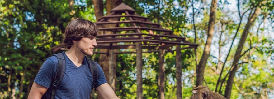 Ubud : cascade, temple, forêt des singes - visite privée