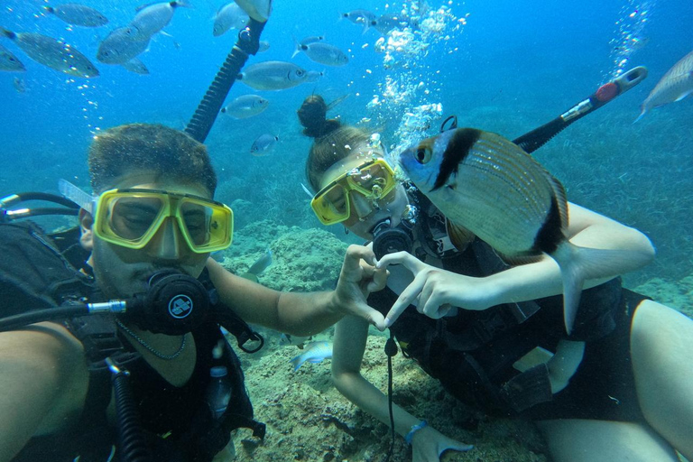 Lado: Buceo y Museo Subacuático con traslado al hotel