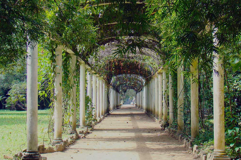 Visite guidée du jardin botanique et du parc Lage au cœur de Rio