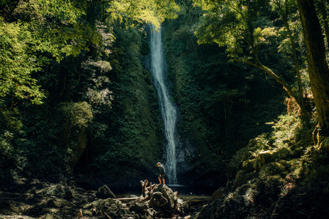 Rainforest Bird Photography Trek in Kitulgala
