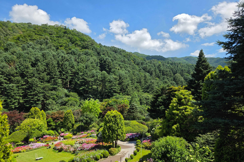From Seoul: Garden of Morning Calm Day Tour by train