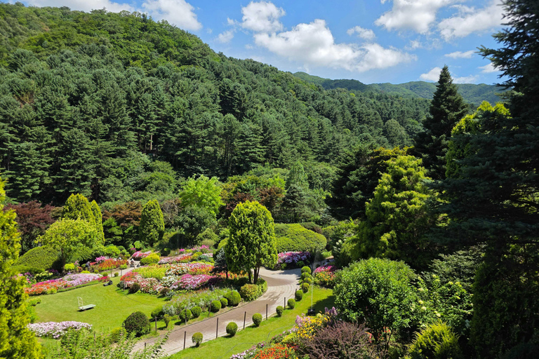 From Seoul: Garden of Morning Calm Day Tour by train