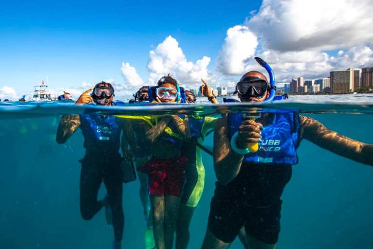 Waikiki: Wycieczka z rurką z hawajskimi zielonymi żółwiami morskimiWaikiki Snorkel Tour