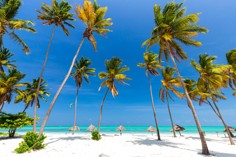 ZANZIBAR: VISITA À LAGOA AZUL