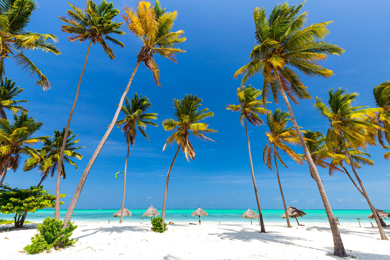 ZANZIBAR : VISITE DU LAGON BLEU