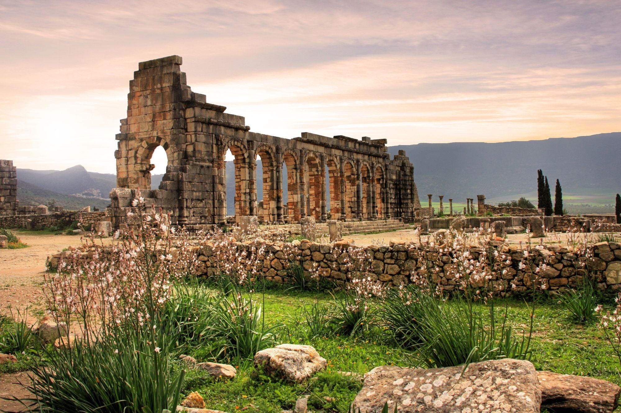 Von Fes aus: Private Volubilis Moulay Idriss & Meknes Tagestour