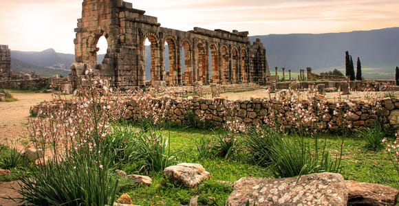 Volubilis Moulay Idriss and Meknes Day Trip with Small Group