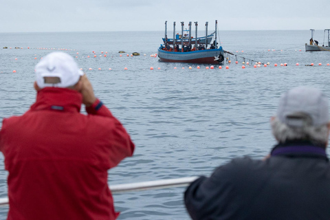 Barbate: Passeio de barco até a Almadraba de Conil (pesca de atum)