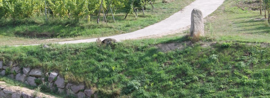 Balade Gourmande dans le Vignoble du Grand Cru Frankstein –Dambach-la-Ville