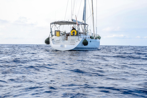 Avventura in barca condivisa a Gozo e Comino