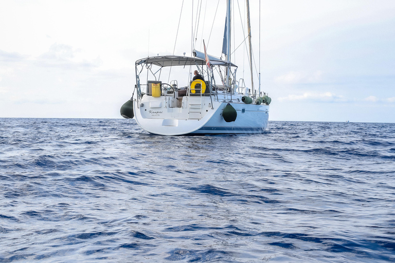 Avventura in barca condivisa a Gozo e Comino