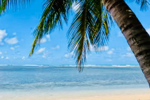 San Juan: Rainforest Waterslides & Beach Tour with Transport San Juan: El Yunque Rainforest and Luquillo Beach Day Tour