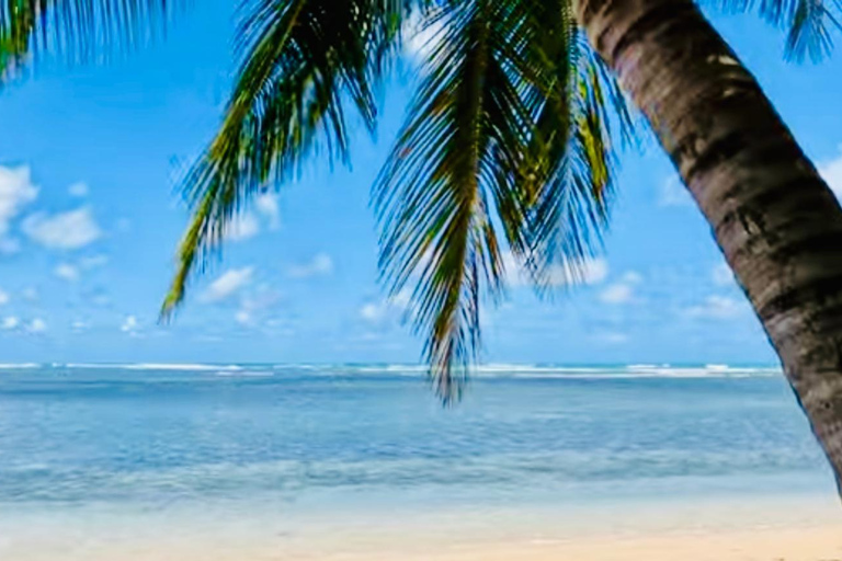 San Juan: Rainforest Waterslides & Beach Tour with Transport San Juan: El Yunque Rainforest and Luquillo Beach Day Tour