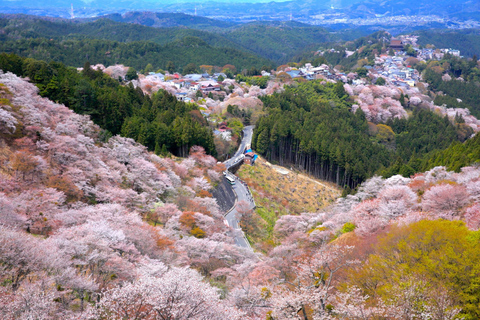 From Osaka: Mt. Yoshino Cherry Blossoms & Nara Deer Day Trip