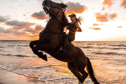 Marsa Alam: Sea and Desert Horse Riding Tour