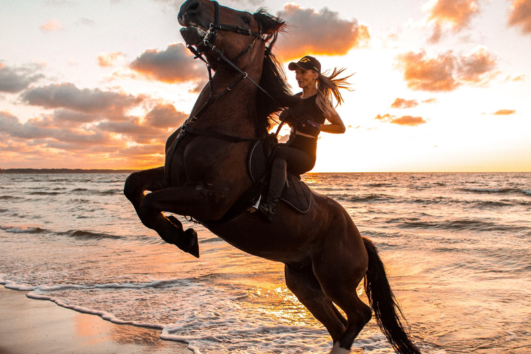 Marsa Alam: Tour a cavallo nel mare e nel deserto