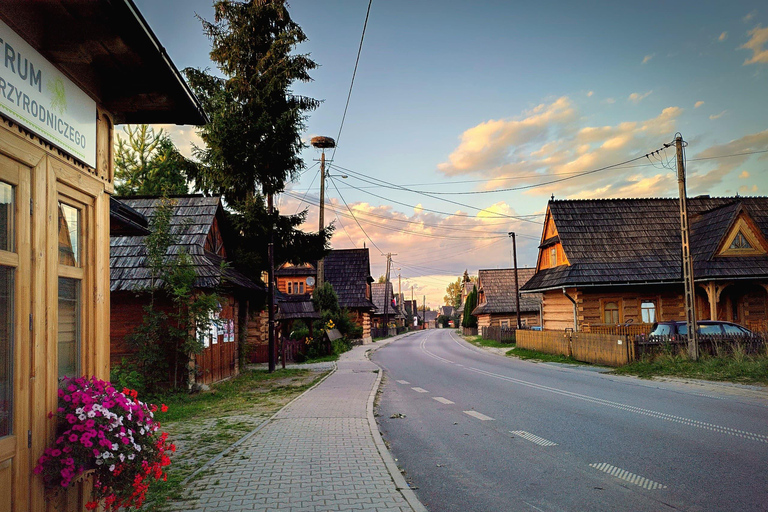 Au départ de Cracovie : Aventure tout-terrain et détente dans les bains thermauxDepuis Cracovie : Circuit à partir du lieu de rendez-vous