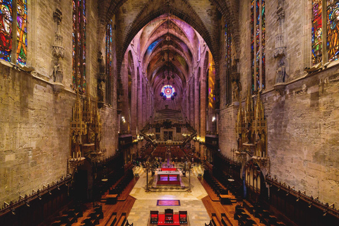 Mallorca: Cathedral tour, views of Bellver Castle, and ensaïmada Shared excursion with a meeting point