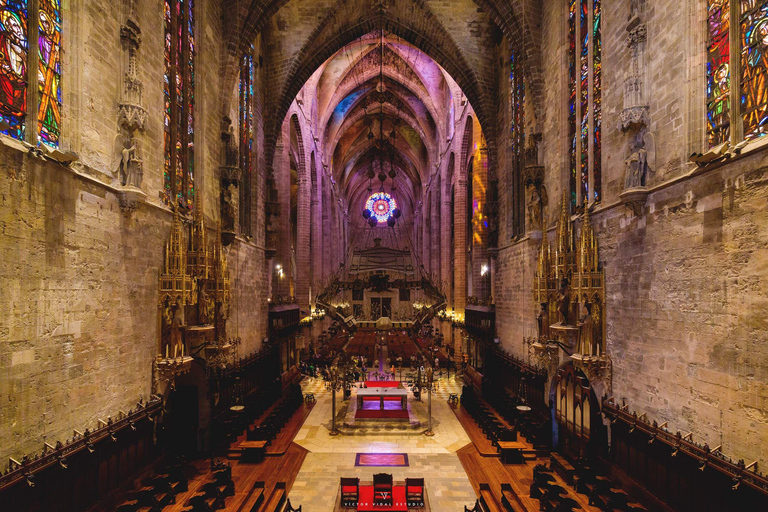 Mallorca: Cathedral tour, views of Bellver Castle, and ensaïmada Shared excursion with a meeting point