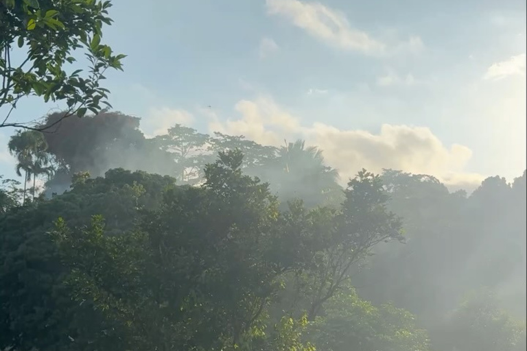Tetebatu Waterfalls, Rice Terraces & Monkey Forest Day trip