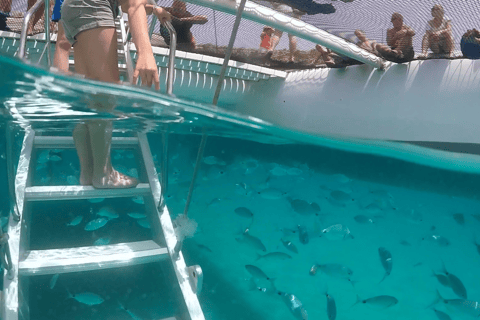 From Palma de Mallorca: 3.5-Hour Catamaran Cruise with Tapas and a Swim