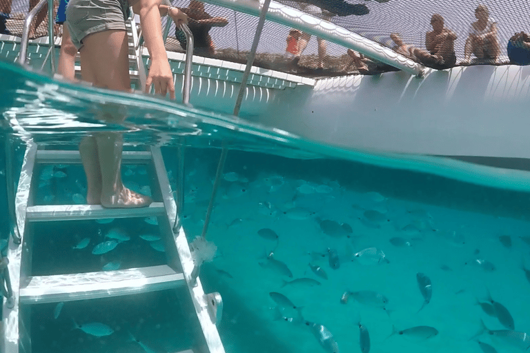 From Palma de Mallorca: 3.5-Hour Catamaran Cruise with Tapas and a Swim