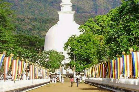 Kandy: Mahiyangana, Dambana, Sorabora Tank, & Wasgamuwa Tour