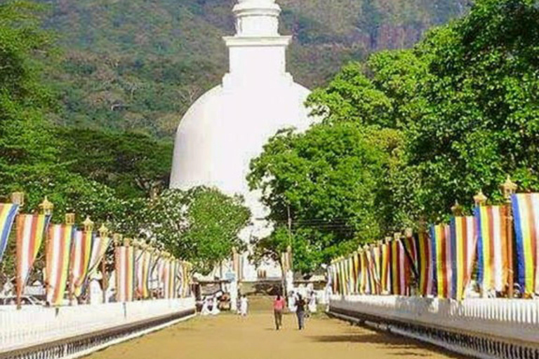 Kandy: Mahiyangana, Dambana, Sorabora Tank, & Wasgamuwa Tour