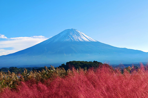 Mount Fuji Day Tour: Instagrammable Spots + Scenic Train From Tokyo (Including ropeway and cruise)