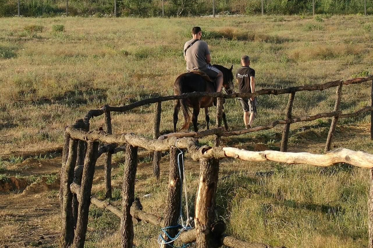 哈尼伊·克罗西特骑马之旅（含贝拉特接送服务）哈尼伊·克罗西特骑马游，贝拉特接送服务