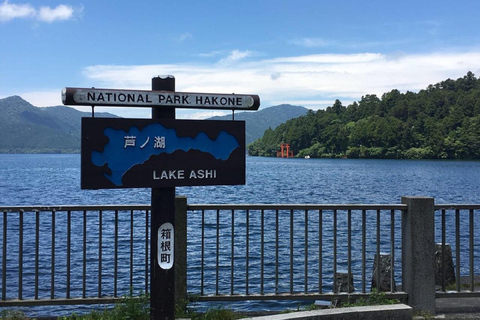 Tokyo: Mt. Fuji Tour, Hakone Ropeway, Owakudani, Lake Ashi Mt. Fuji Day Tour--Departure From Tokyo Station 8:00am