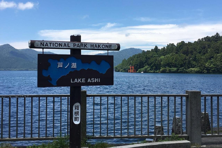 Tokyo: Mt. Fuji Tour, Hakone Ropeway, Owakudani, Lake Ashi Mt. Fuji Day Tour--Departure From Tokyo Station 8:00am