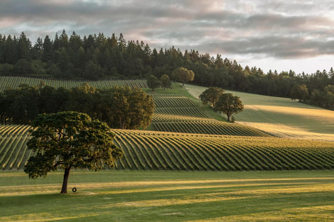 Willamette Valley Wine Tour: A journey for the senses Willamette Valley Wine Tour: A tour for the senses