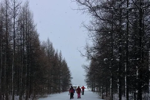 Saint-Jean-de-l'Île-d'Orléans: Self-Guided Snowshoeing Trip