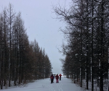 Saint-Jean-de-l'Île-d'Orléans: Passeio autoguiado com raquetes de neve